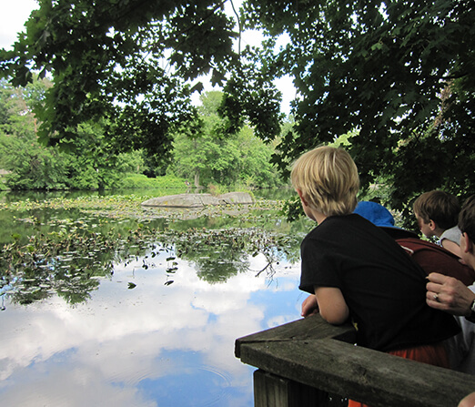 Preschool walk by pond