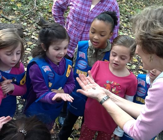 Group of Girl Scouts in their vests looking at nature with Sheldrake Naturalist outside in the wood.