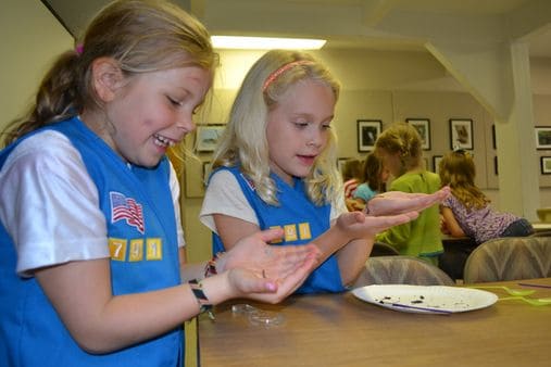 Girls in Daisy Scout vests excitedly looking at Sheldrake project.