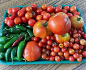 colorful vegetables.