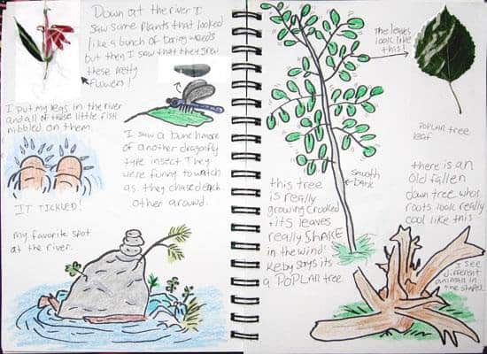 nature journal