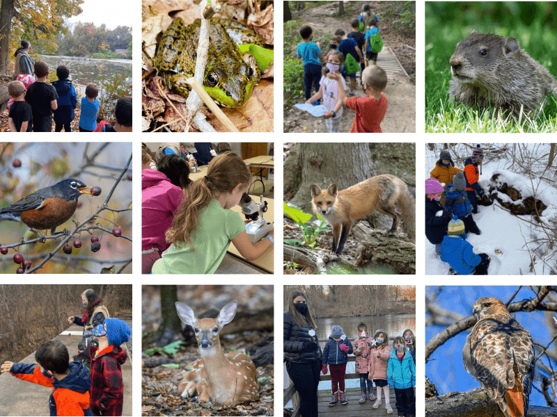 Collage of school trips to various Sheldrake sites.