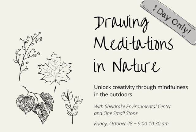 Drawing Meditations in Nature – October 28