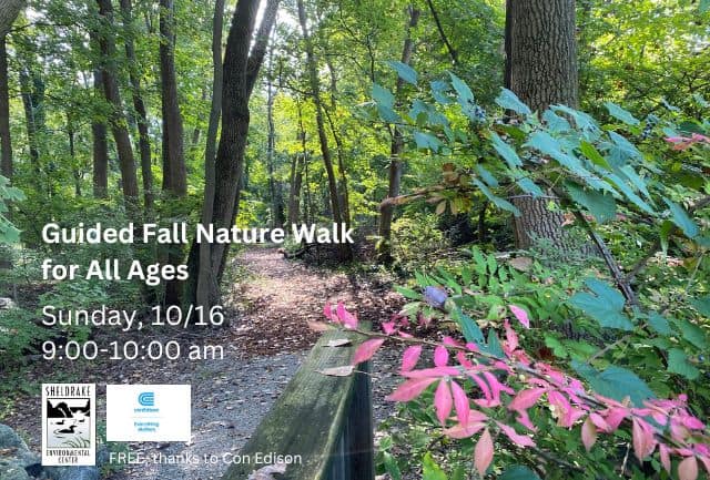 Guided Fall Nature Walk for All Ages