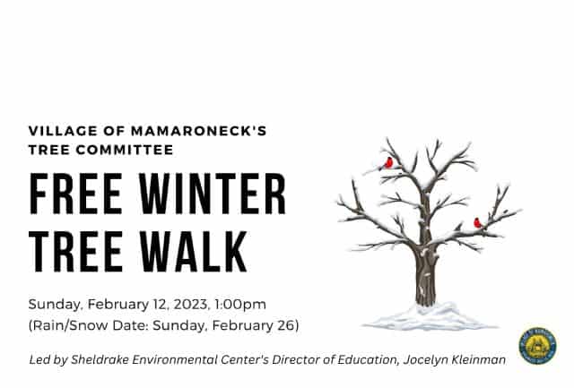 Village of Mamaroneck Tree Committee Winter Tree Walk