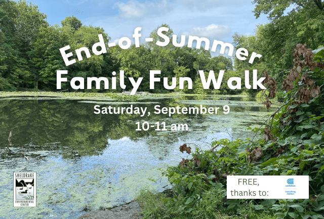 End-of-Summer Family Fun Walk