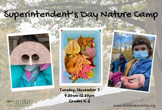 Superintendent’s Day Nature Camp