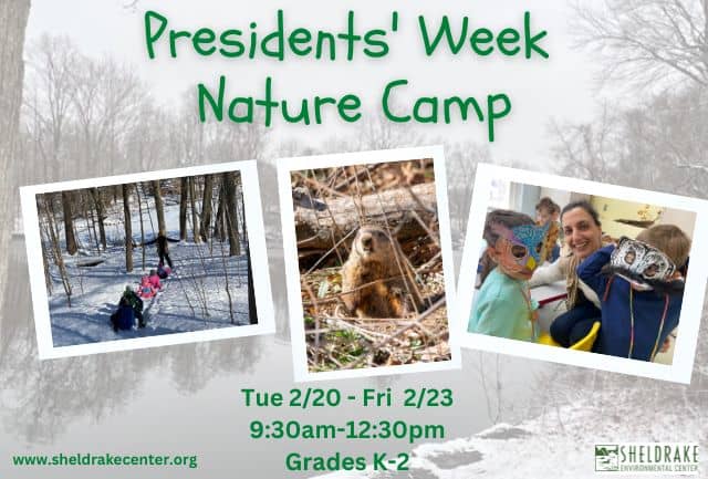 Presidents’ Week Nature Camp