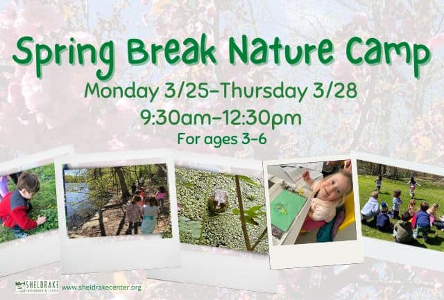 Spring Break Nature Camp