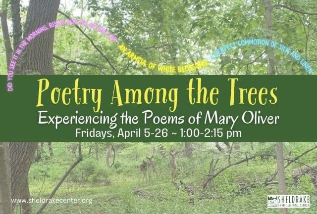 Poetry Among the Trees: Experiencing the Poems of Mary Oliver