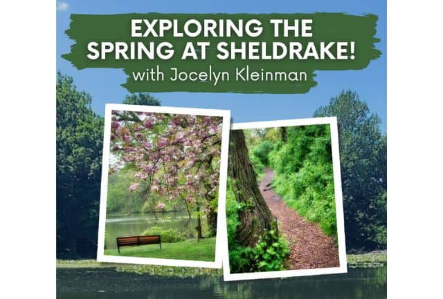 Exploring the Spring at Sheldrake! with Jocelyn Kleinman