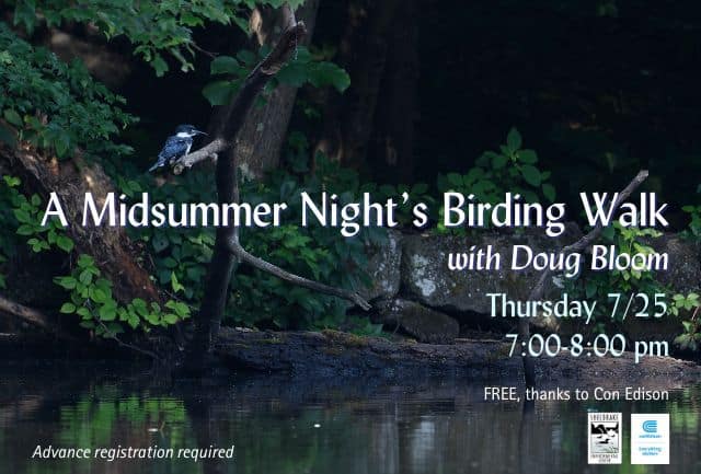 A Midsummer Night’s Birding Walk with Doug Bloom