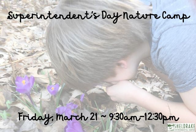 Superintendent’s Day Nature Camp