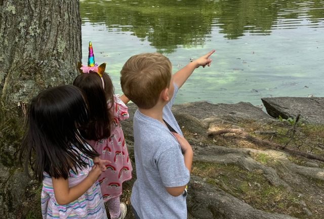 August Mini-Camp in Nature – Week of 8/18
