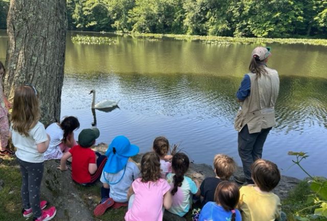 swan gliding along pond past a group of children