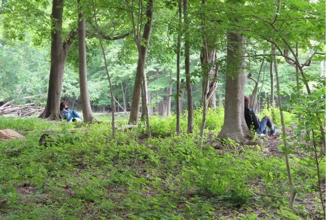 scene of the woods with two people sitting on the ground with their backs against a tree